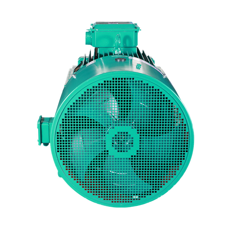 YPT Series Three Phase Induction Motor(H80-355MM)