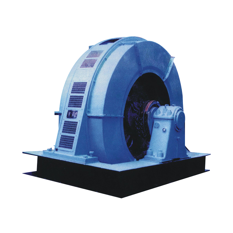 T series three-Phase Synchronous Induction Motor