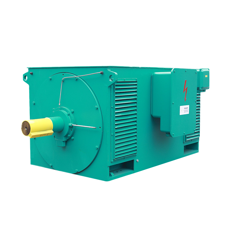 Y Series High-Voltage Three Phase Induction Motor (H:355-1000mm)