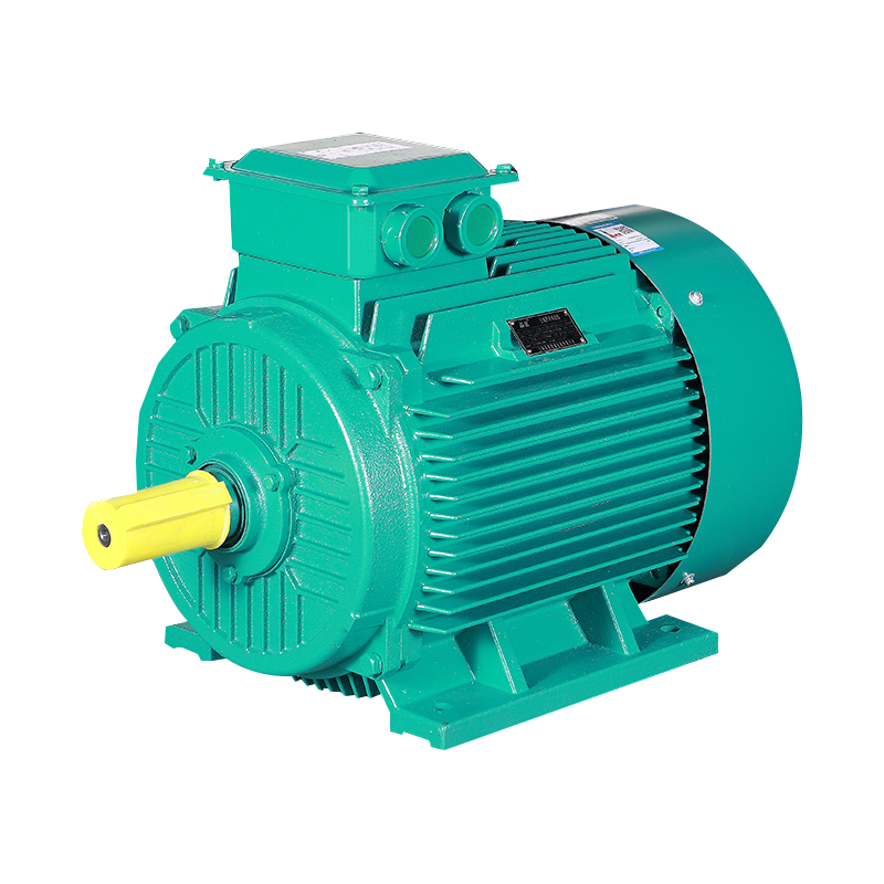 IE3 Series Three Phase Induction Motor(H80-355MM)