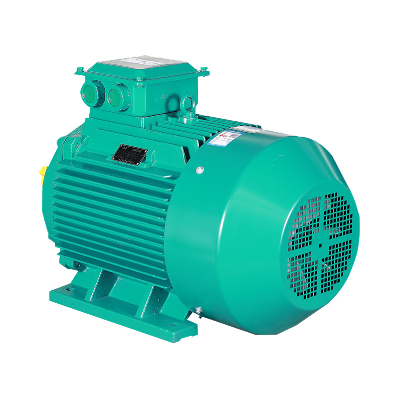 IE3 Series Three Phase Induction Motor(H80-355MM)